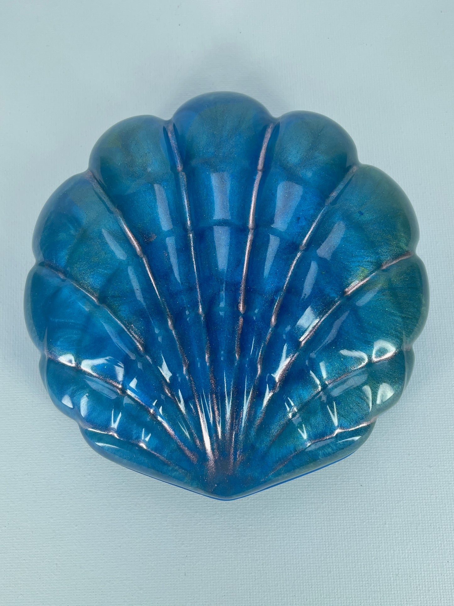 Dose "Muschel"